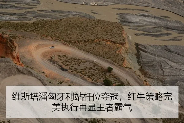 维斯塔潘匈牙利站杆位夺冠，红牛策略完美执行再显王者霸气