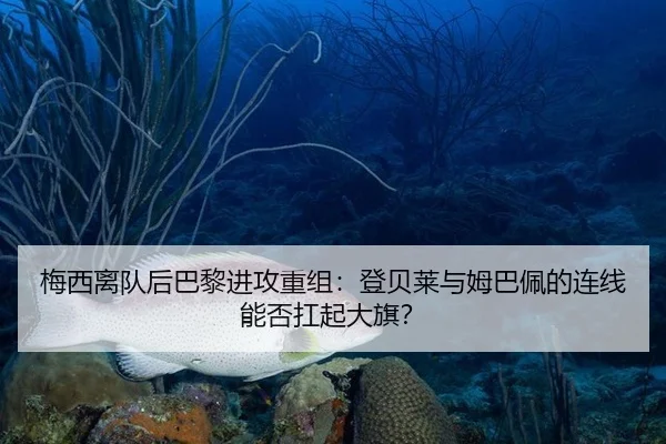 梅西离队后巴黎进攻重组：登贝莱与姆巴佩的连线能否扛起大旗？