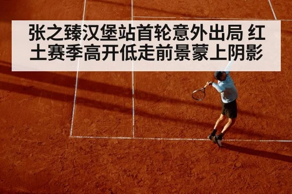 张之臻汉堡站首轮意外出局 红土赛季高开低走前景蒙上阴影