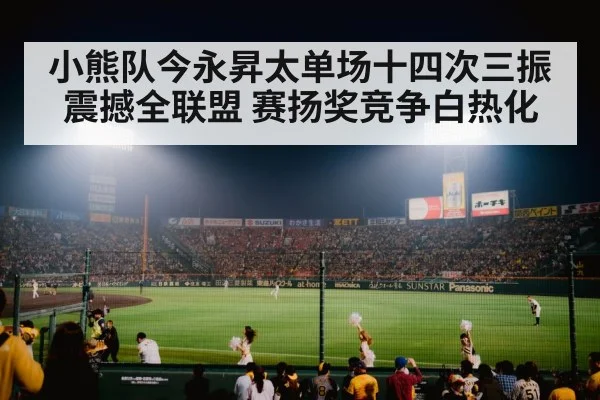 baseball stadium night